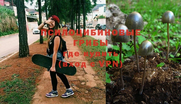 наркотики Алексин